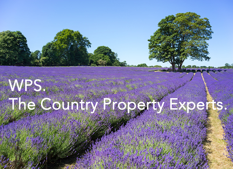 WPS property search and home finder Sussex, Kent, Surrey, Hampshire